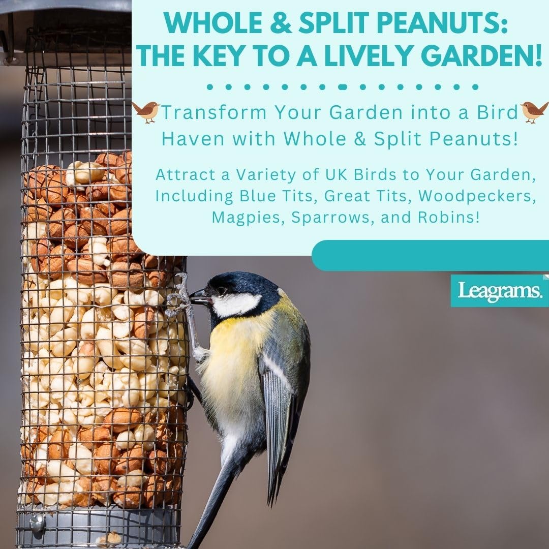 Leagrams Value Whole & Split Peanuts for Wild Birds (12.55kg)