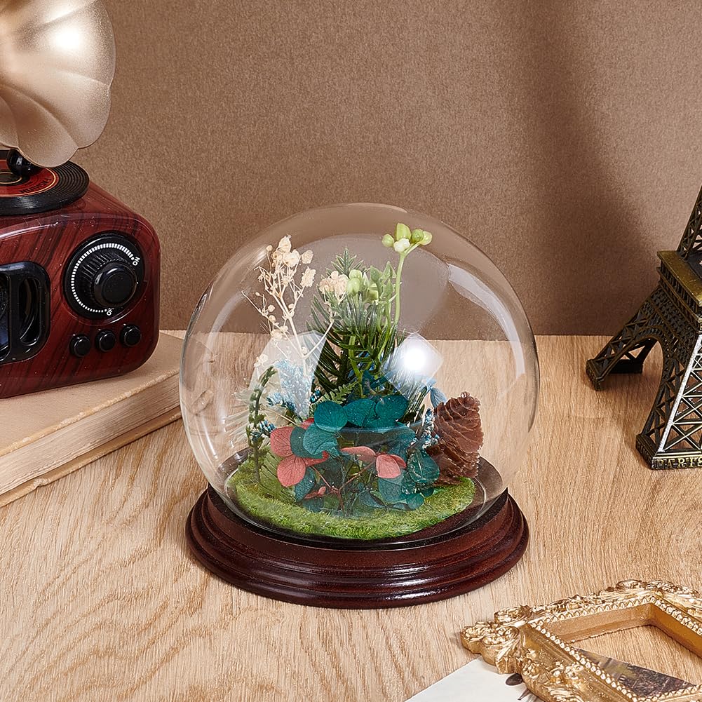 PH PandaHall 4.5x4.4 Cloche Glass Dome Display Clear Dome with Base Mini Crystal Display Case Vintage Style Centerpiece Stand Bell Jar for Watch Jewellry Miniatures Figurines Display