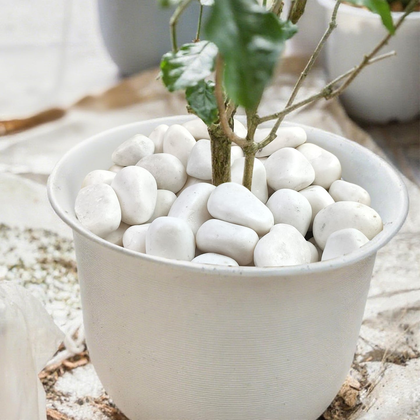 SHIZWU 40lbs White Rocks for Landscaping,2-3 Inch Decorative Pebbles for Plants,River Rocks for Backyard,Flower Beds, Indoor Fountains, Paths, Aquarium Vase,Outdoor Garden