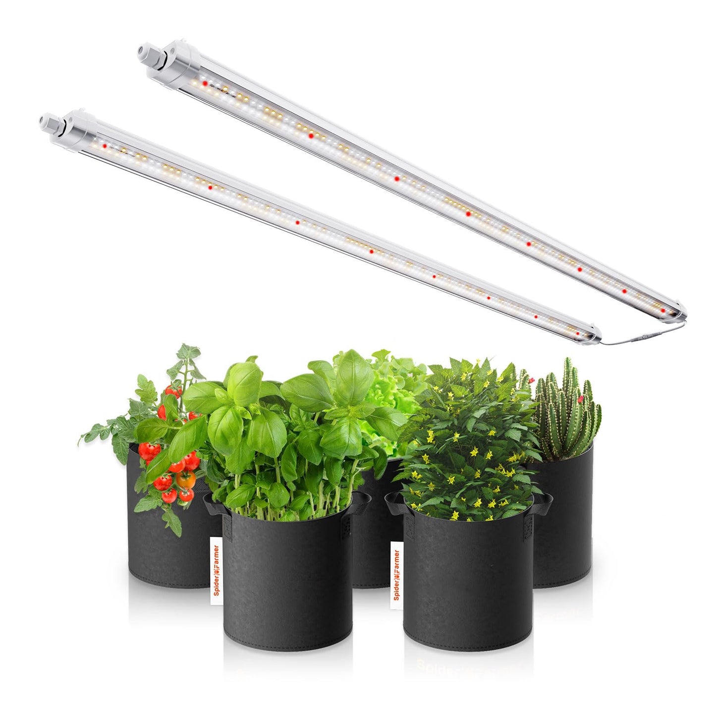 Spider Farmer Glow80 LED Grow Lights, 3.6ft Sunlike Full Spectrum Waterproof Plant Growing Lamp Linkable for Indoor Plant Shelves Seedling Veg Flower Hydroponic Greenhouse