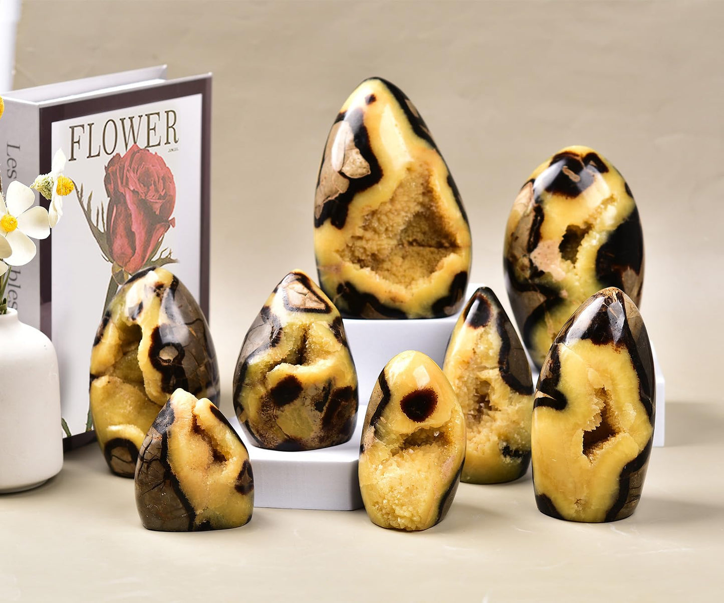 MOGEMT Septarian Geode Rock Healing Crystal Cluster Septarium Irregular Home Decoration Specimen Large 1-1.5 Lbs