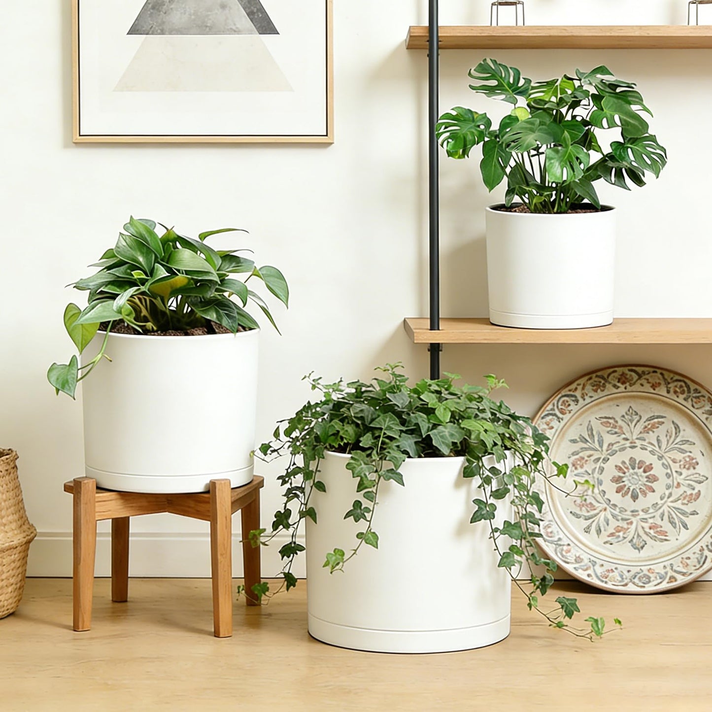 DGJDLWHX Large Plant Pots Set of 3 – 8", 9", 10" Indoor Flower Pots with Drainage Holes and Saucers, Big Planters for Monstera, Fiddle Leaf Fig, Snake Plant – 5 Colors