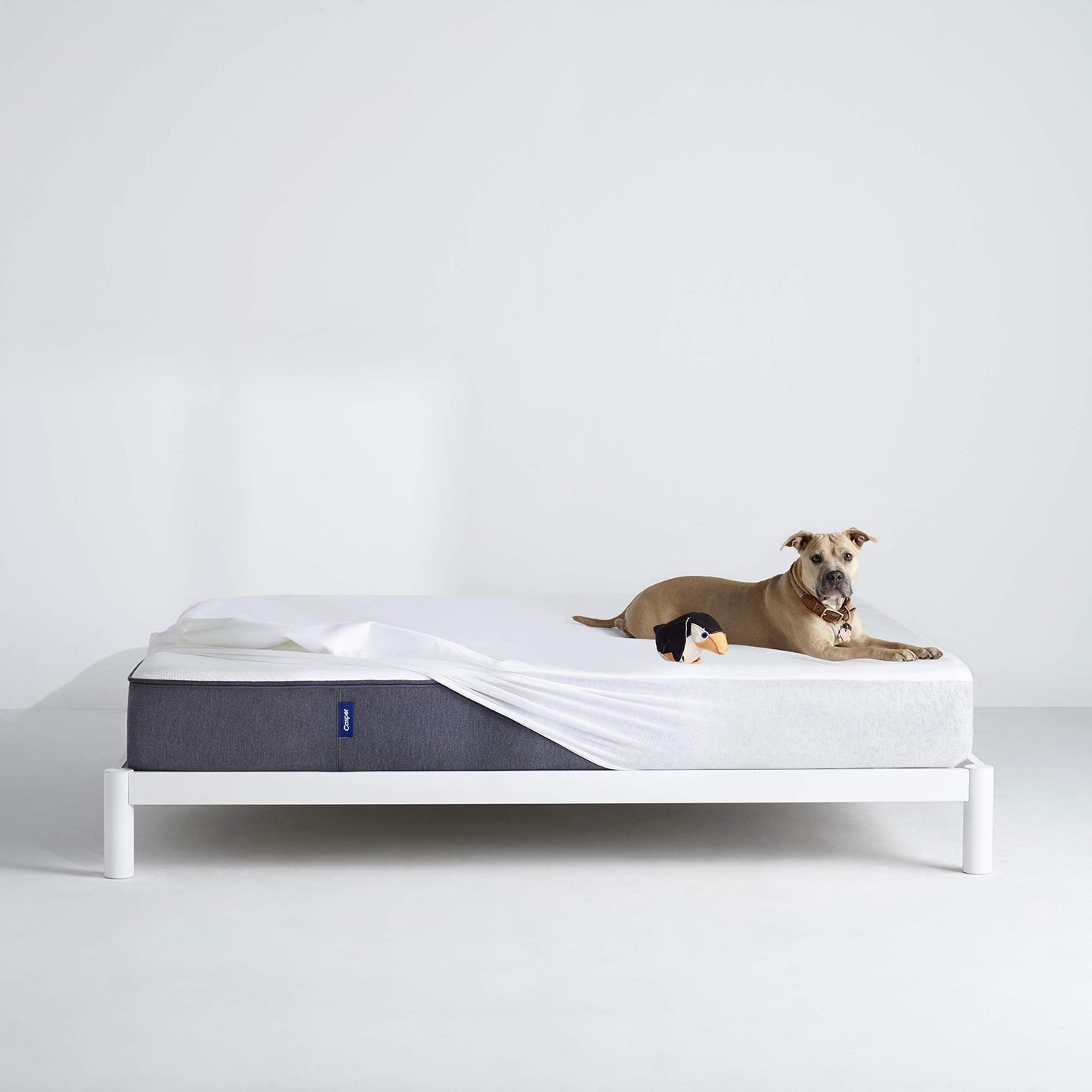 Casper Sleep Waterproof Mattress Protector, Queen, White