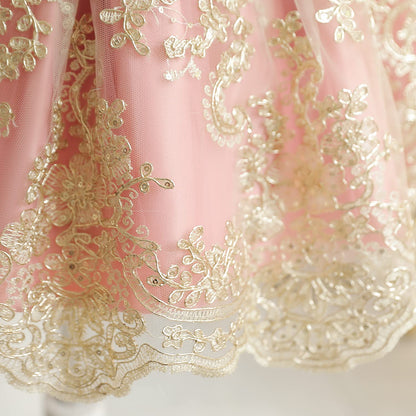 NNJXD Baby Girl Dress Flower Embroidery PrincessTutu Pageant Party Gown 2006 Pink Size(80) 6-12 Months