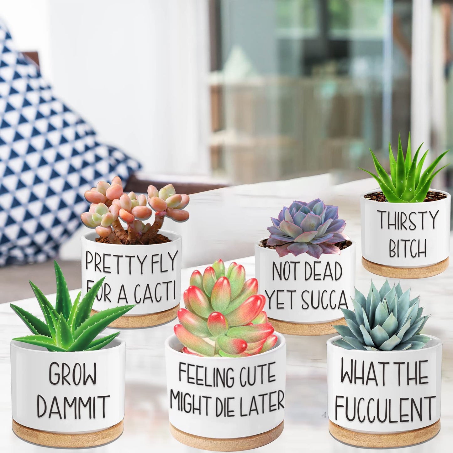 6pcs Funny Succulent Plant Pots, 3.15'' Ceramic Small Succulent Planters with Drainage Hole and Bamboo Tray, Cute Flower Pots for Indoor/Outdoor Plants, Birthday Gifts for Women - Plants Not Included