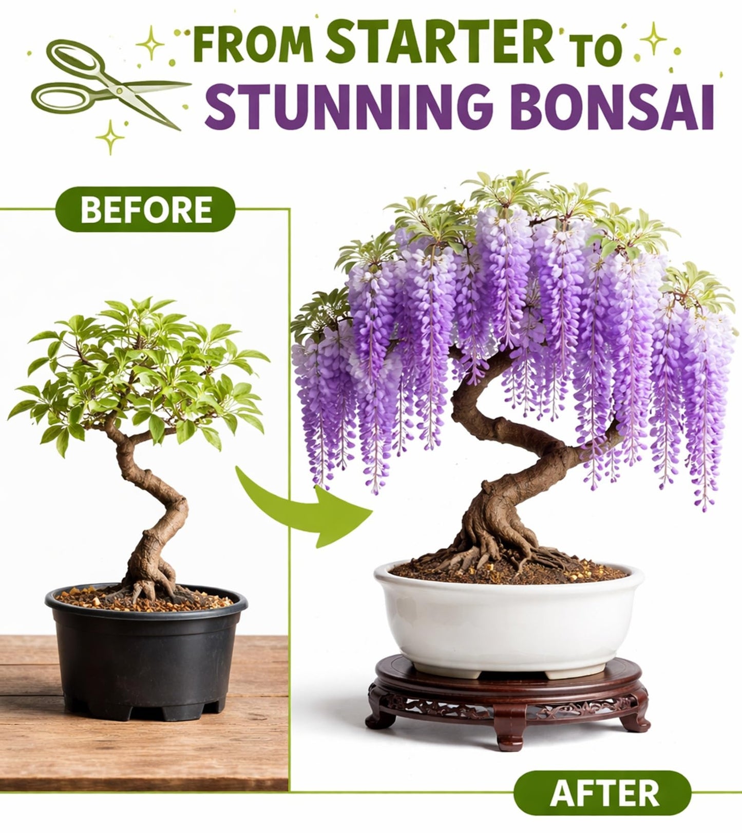 Wisteria Bonsai Starter Tree (1 Year Old Live Plant) – Wisteria Floribunda Seedling – Fast Growing Flowering Vine for Bonsai Training – Outdoor/Indoor Bonsai Tree Starter Kit Plant