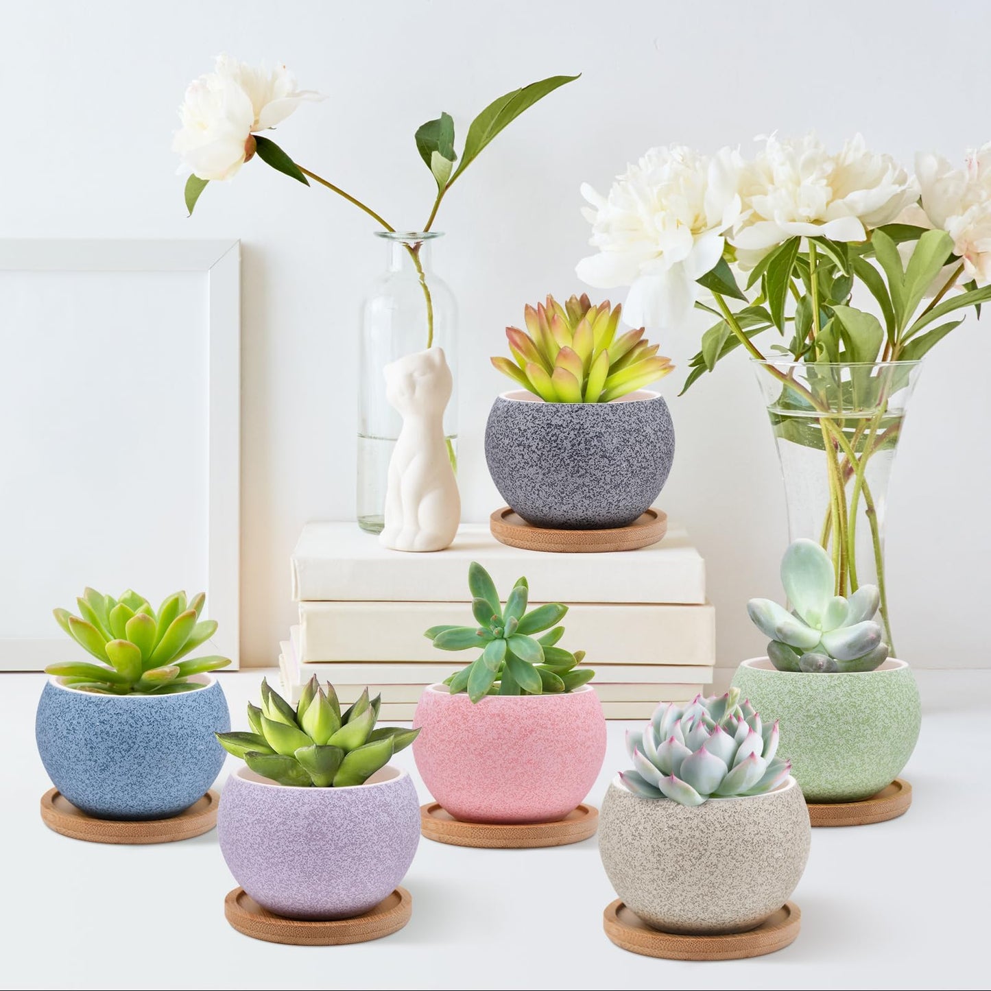 6 Pack Ceramic Succulent Pots with Drainage – Small Round Planters for Indoor Plants & Cactus, Mini Flower Pots with Bamboo Trays, Desk & Home Décor, Gift for Plant Lovers, Office, Balcony, Garden
