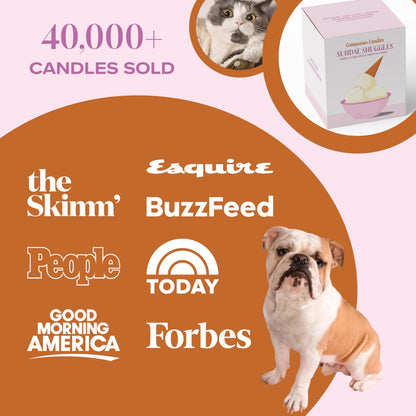 Companion Candles Sundae Snuggles Pet-Friendly Scented Candle – Vanilla Gelato & Waffle Cone Fragrance - Coconut Soy Wax Candle with Wooden Wick, Approx. 50-Hour Burn Time, Made in USA, 8 oz