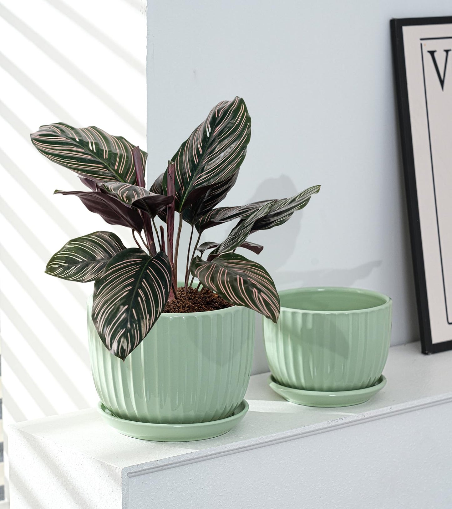 Ton Sin Flower Pots, Light Green Ceramic Plant Pots Set of 3,Small Glazed Succulent Pots with Drainage Hole,Cactus Planter with Saucer,Outdoor Garden Pots (Green)
