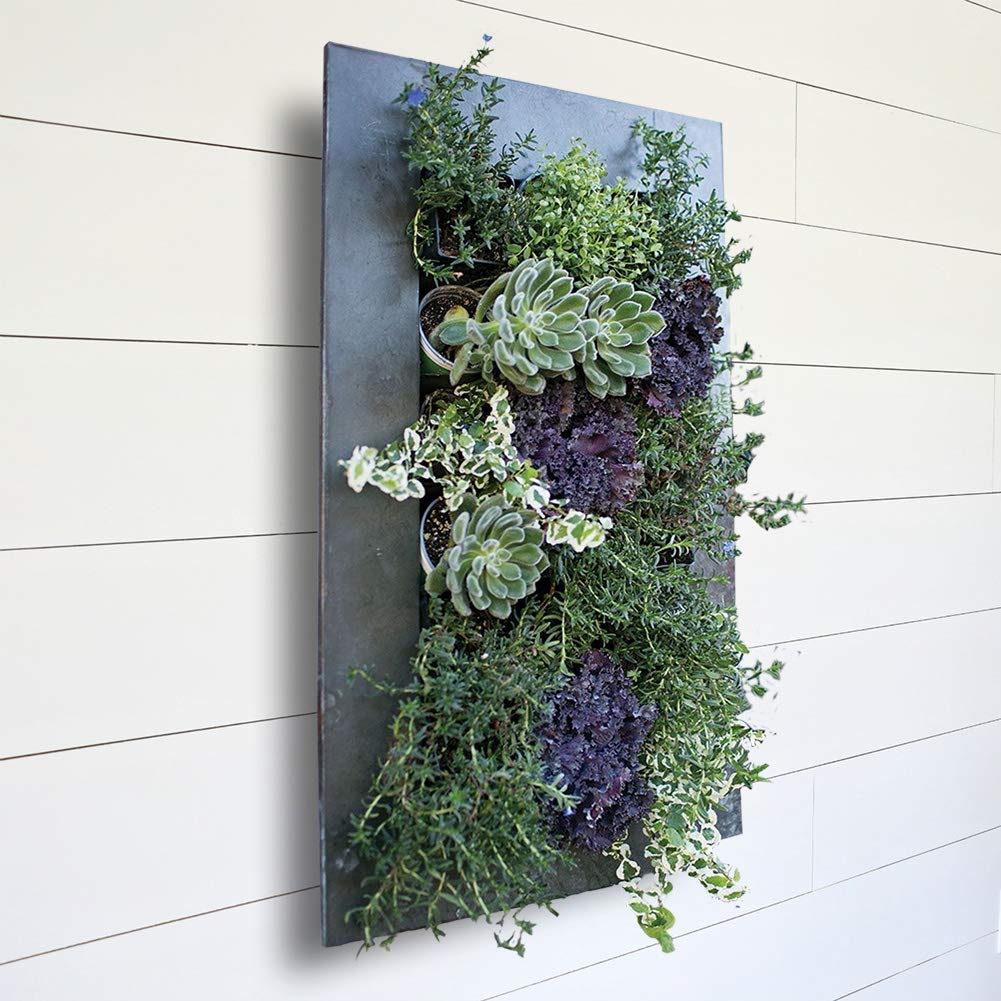 Modern Home Living Wall Galvanized Steel/Zinc Succulent Planter, Wall Mounted Garden Pocket Planter (18 Pocket, Black Zinc)