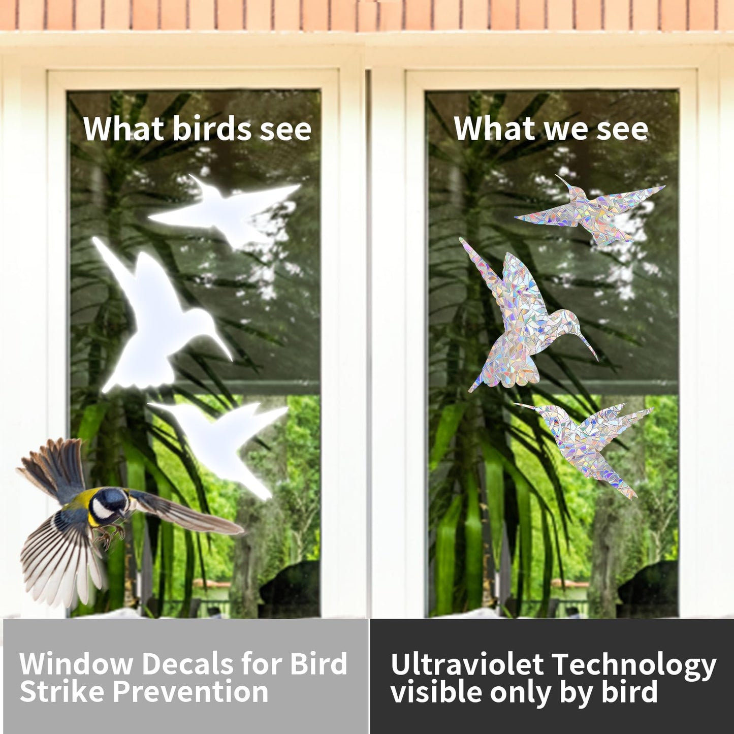Window Decals to Prevent Bird Strikes, 24 Pieces Window Clings Stickers for Birds Strike Prevention (Bird)