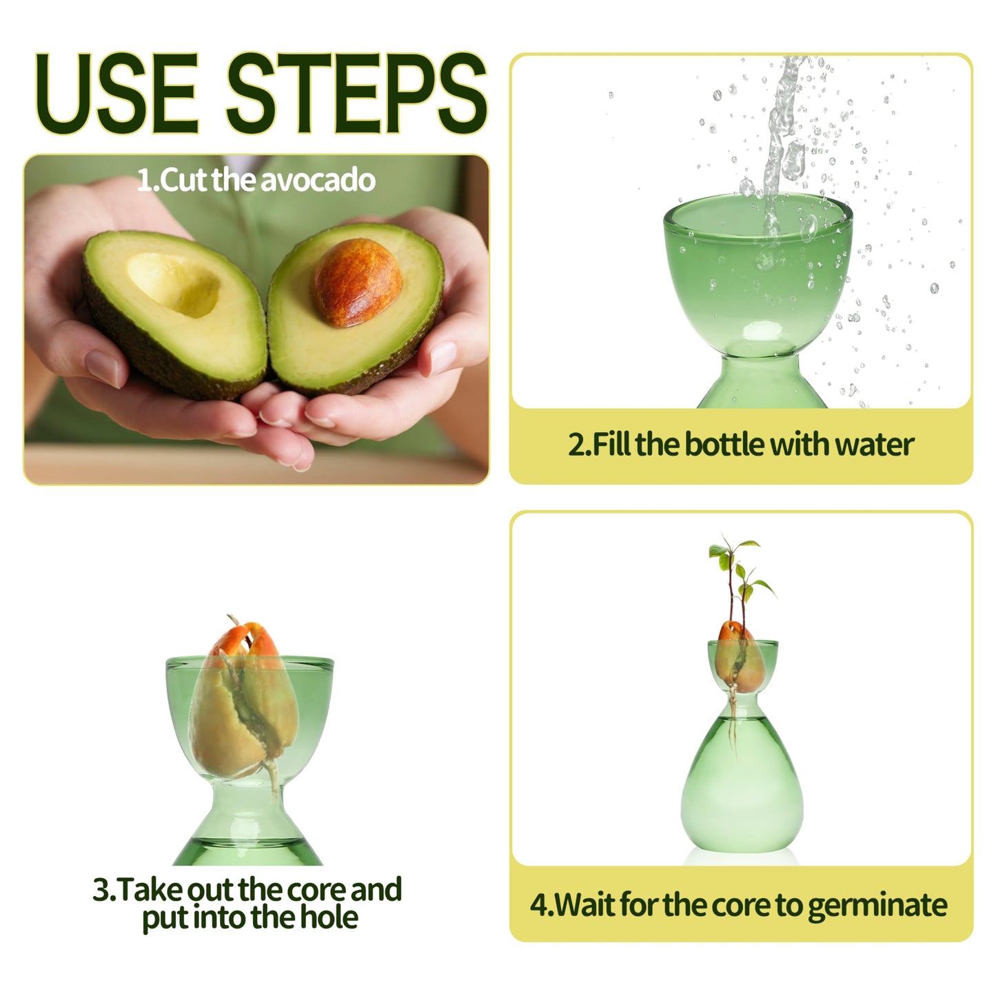 CYZglass Avocado Vase Avocado Seed Starter Vases Trees Live Plants Growing kit Glass 2pc