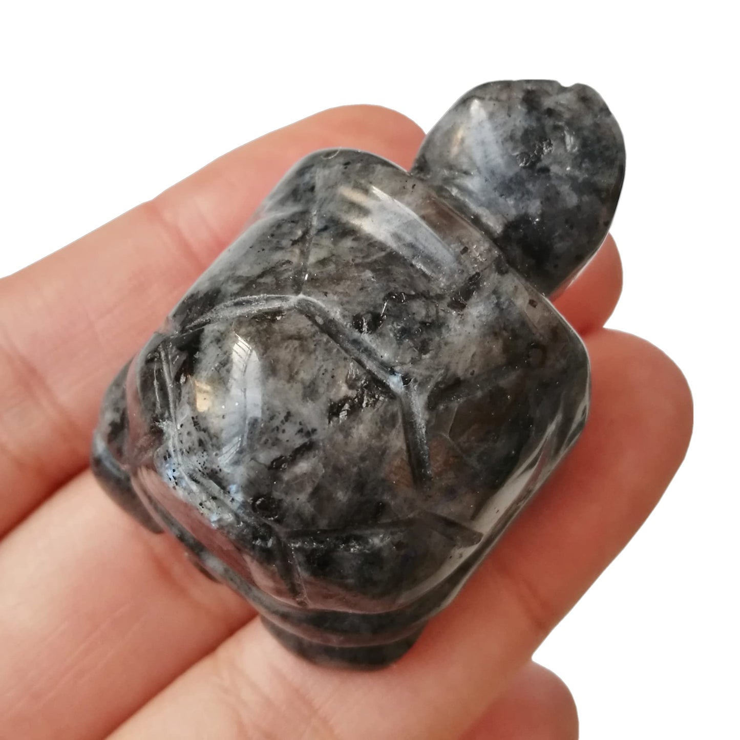 Bacatgem 1 Pcs Black Labradorite Tortoise Crystals and Healing Stones, 1.5" Hand Carved Animal Collectible Sculpture Fengshui Healing Crystal