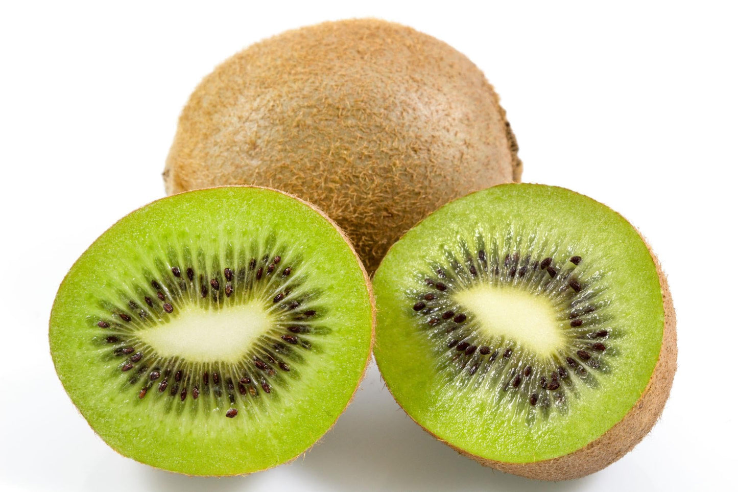Hardy Kiwi Vine Live 1 Gallon Pot 20 Inches Tall Cold Hardy Fruit Vine Smooth Edible Skin Climbing Plant for Trellis Garden Zones 4 to 8