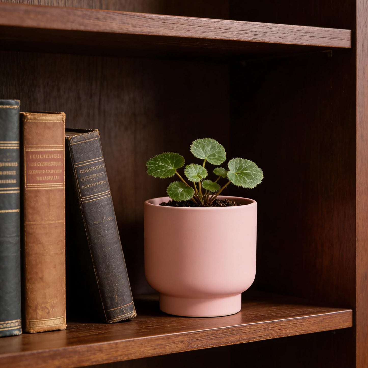 LB Pink Ceramic Plant Pots for Indoor Plants, Succulent Planters Ceramic Plant Pot, Cute Flower Pots for Living Room Office Home Decor, Round Flower Pot of 4.3 Inch(Plant Not Included)