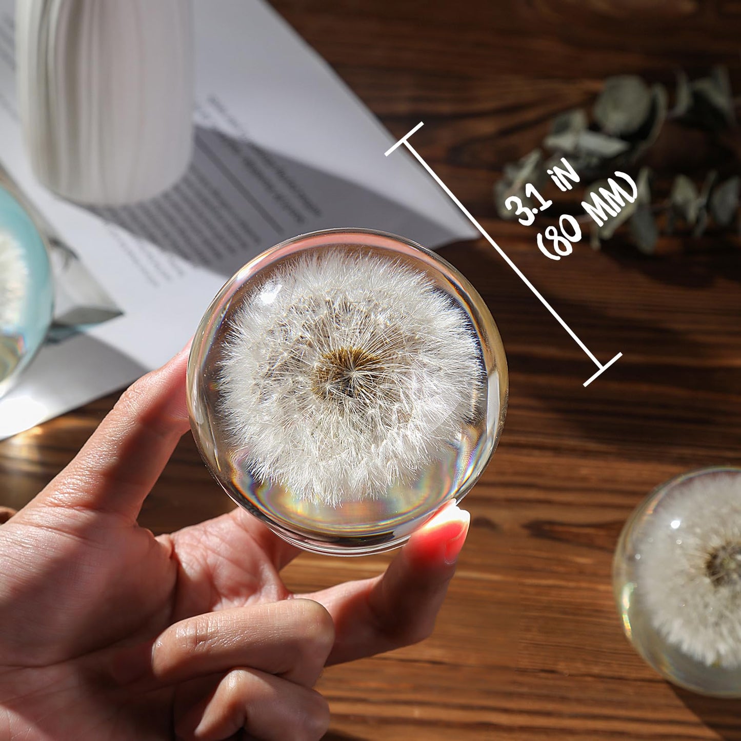 1st Heaven Dandelion Paperweight in Crystal – Real Preserved Dandelion, Symbol of Hope, Luck, or New Beginnings – Elegant Gift with Gift Box & Card (3.1 in)
