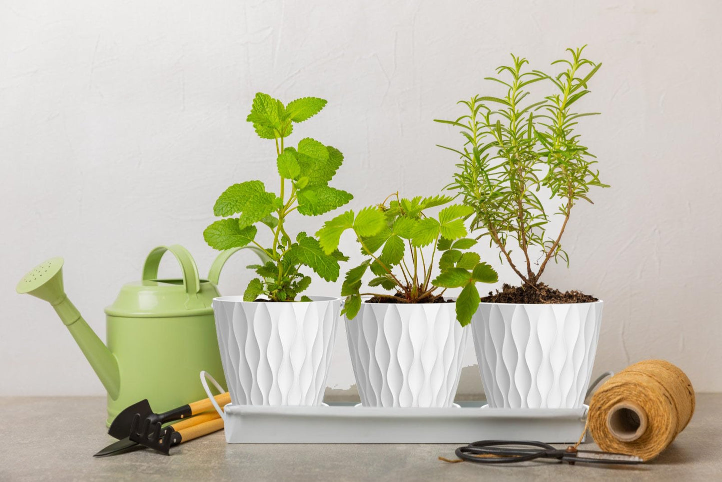 SQKH 4 Inch Plant Pots, 6 Pack Indoor Flower Pots, Planters with Drainage Holes and Trays for Orchids, Violets, Succulents, Herbs, and Other Plants,White