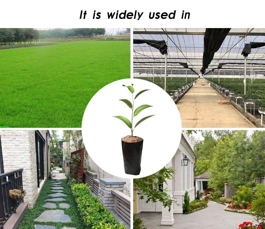 Frjjthchy 100 PCS Thicken Plastic Nursery Bags for Plants Fruit Flower Grow Bags Seedling Pots (7.87x15.75 in)