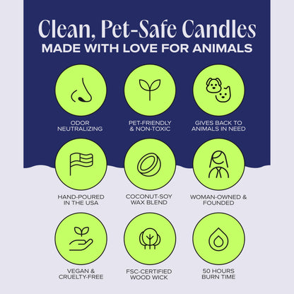 Companion Candles Nostalgia Pet-Friendly Scented Candle – Spicy Amber & Soft Floral Fragrance, Coconut Soy Wax with Wooden Wick, Approx. 50-Hour Burn Time, Made in USA, 11.8 oz