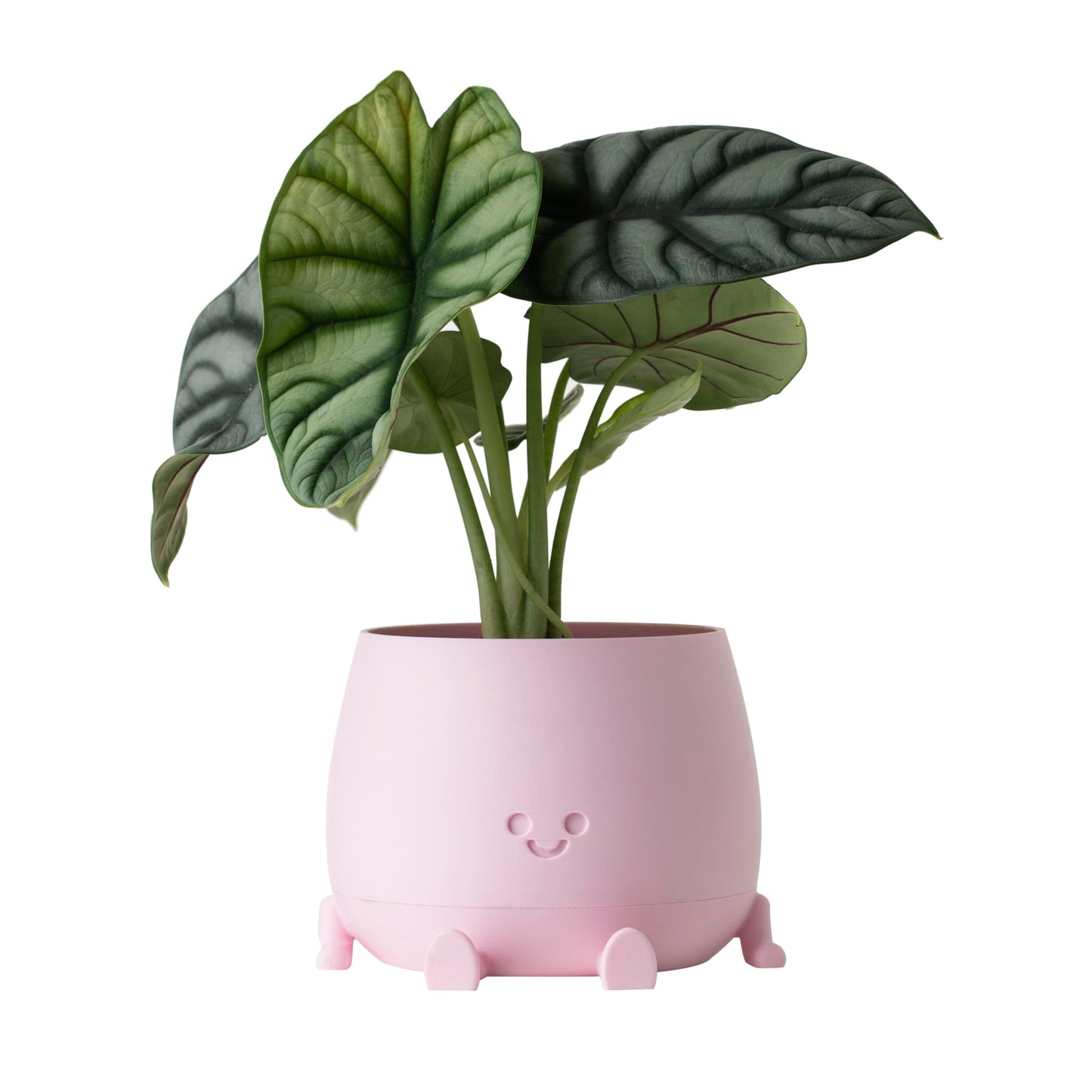 TOPOLA Happy Face Planter, 5.2 Inches Plastic Plant Pot, Self Watering Plant Pot with Drainage Holes for Indoor Outdoor, Succulent Pot, Funny Flower Pot, Sakura