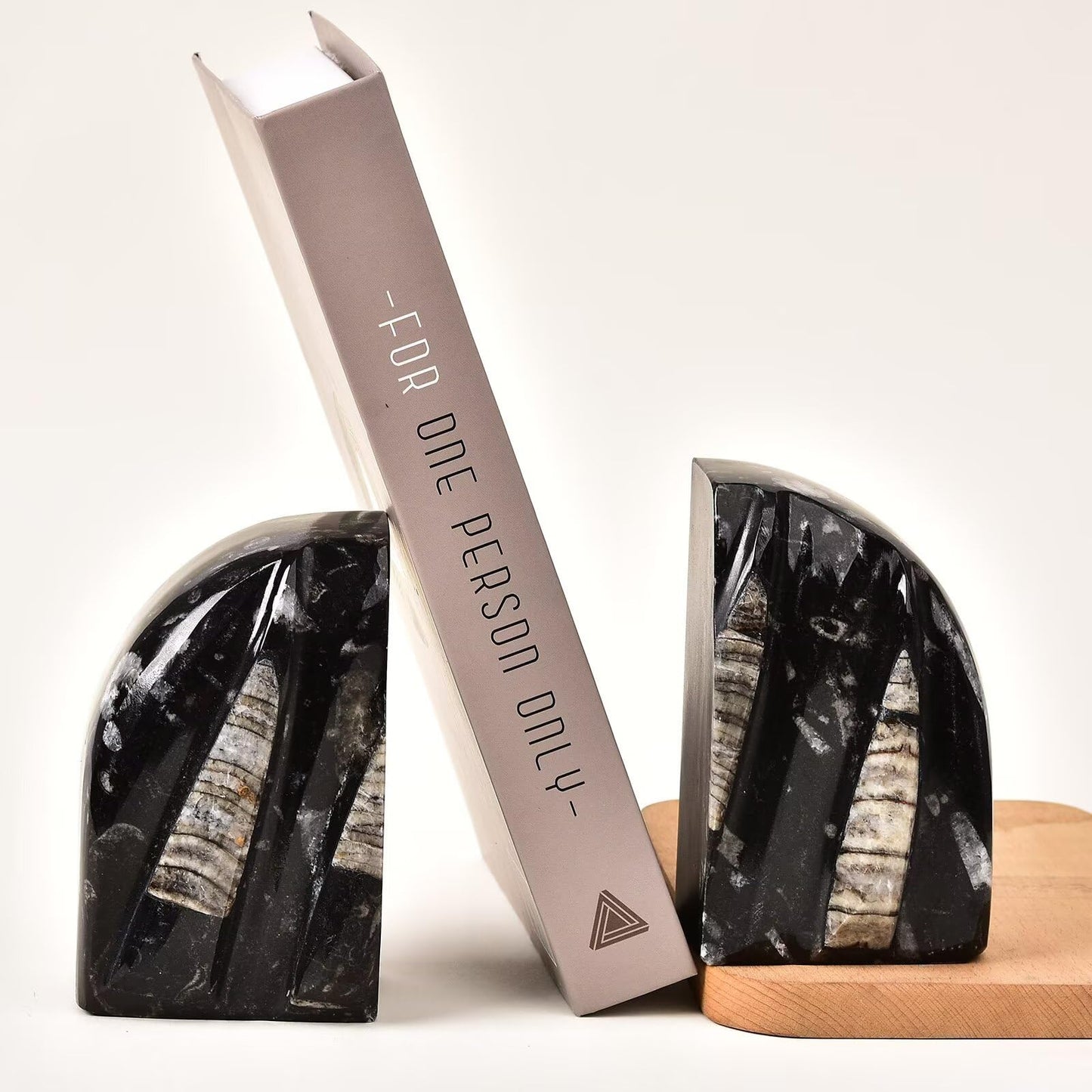 VIZYTOU Orthoceras Fossil Bookend Heavy Duty Stone Book End Decorative Book Holder 4-5 Pounds
