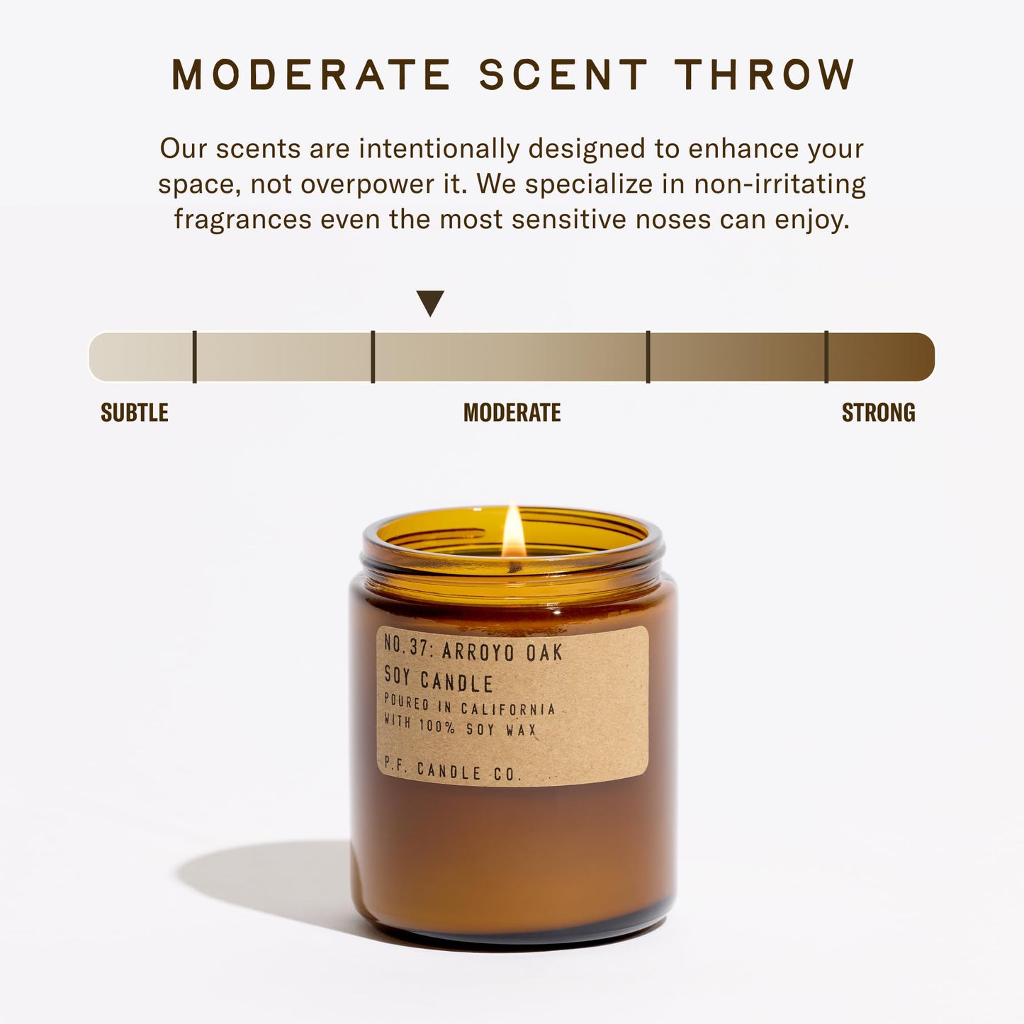 P.F. Candle Co. Arroyo Oak Classic Standard Scented Soy Wax Candle (7.2 oz) 40-50 Hour Burn Time, Amber Glass Jar, Made in The U.S.A.