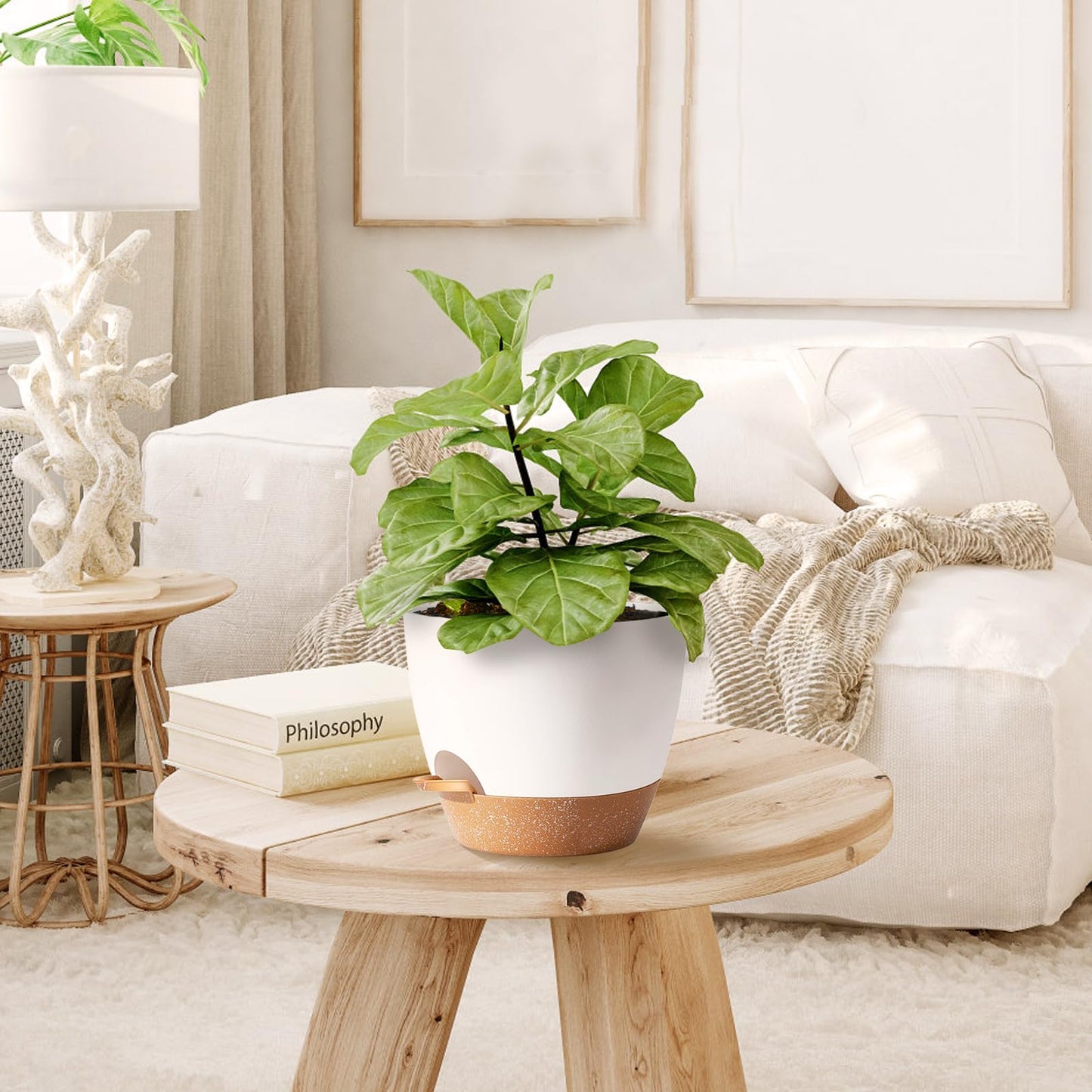 SE SUN-E Indoor Plant Pots for Lazy People, 5Pack White Plastic Self Watering Planter Pots for Houseplants,Succulent, African Violets,Snake Plants, Flowers and Cactus(7/6.5/6/5.5/5 Inch)
