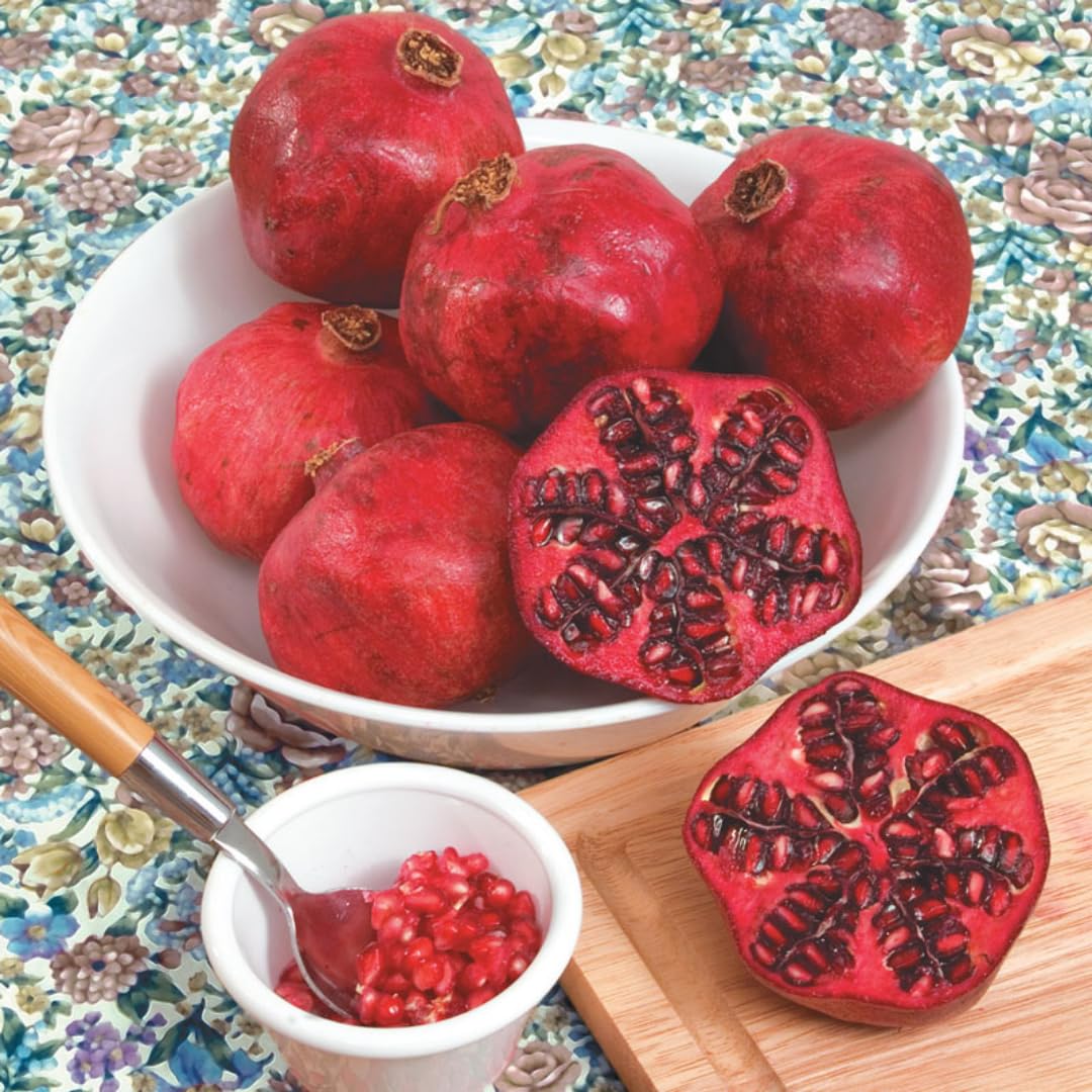 Sweet Pomegranate Tree Live Plant, 4" Potted Cold Hardy, Seedlings Pomegranate Tropical Flavor Fruit for Spring Planting