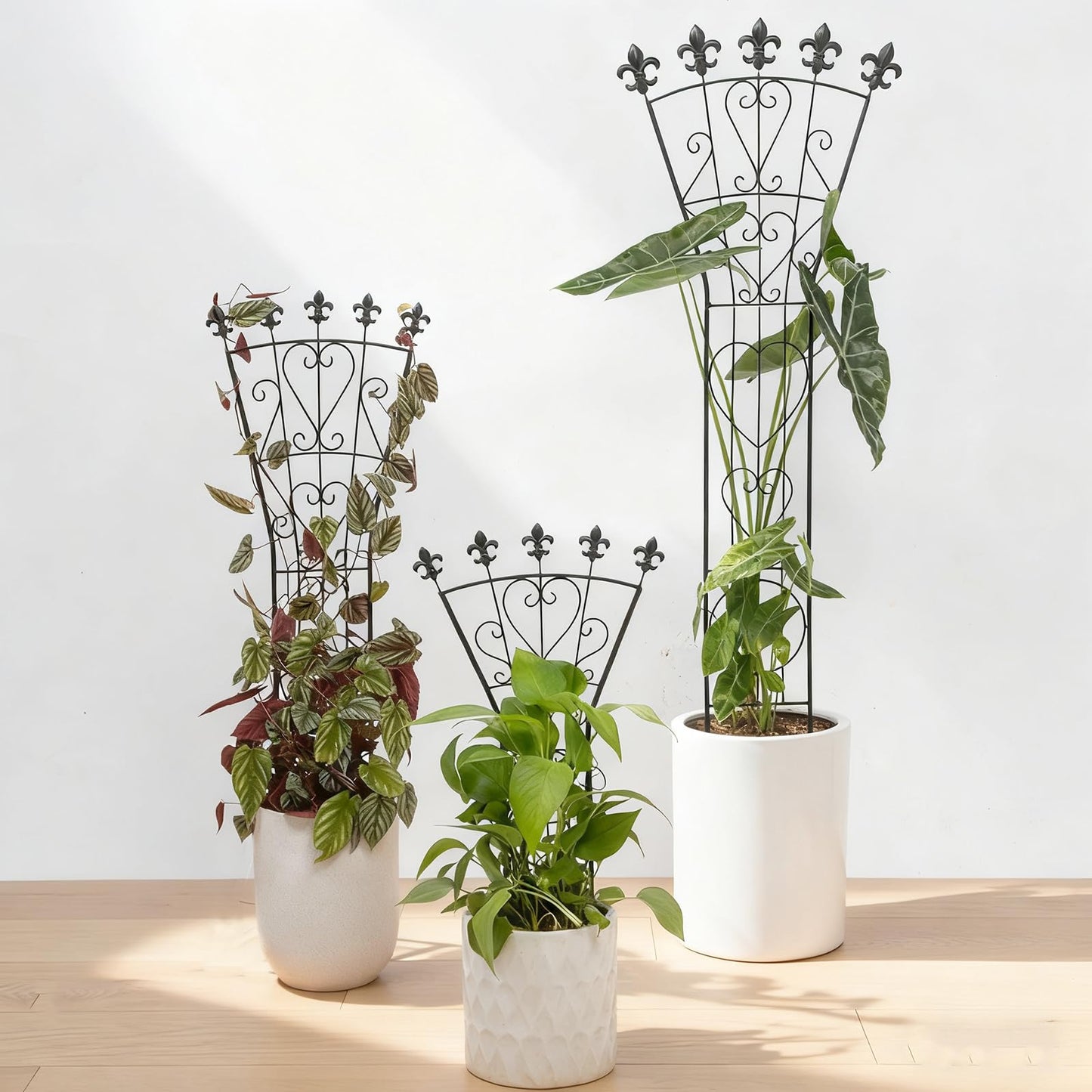 GOOOXIM Heavy Duty Indoor Trellis for Climbing Plants Set of 3 – 31x12 Inches Premium Iron Plant Support for Garden, Balcony, and Indoor Spaces – Perfect for Monstera and Other Houseplants