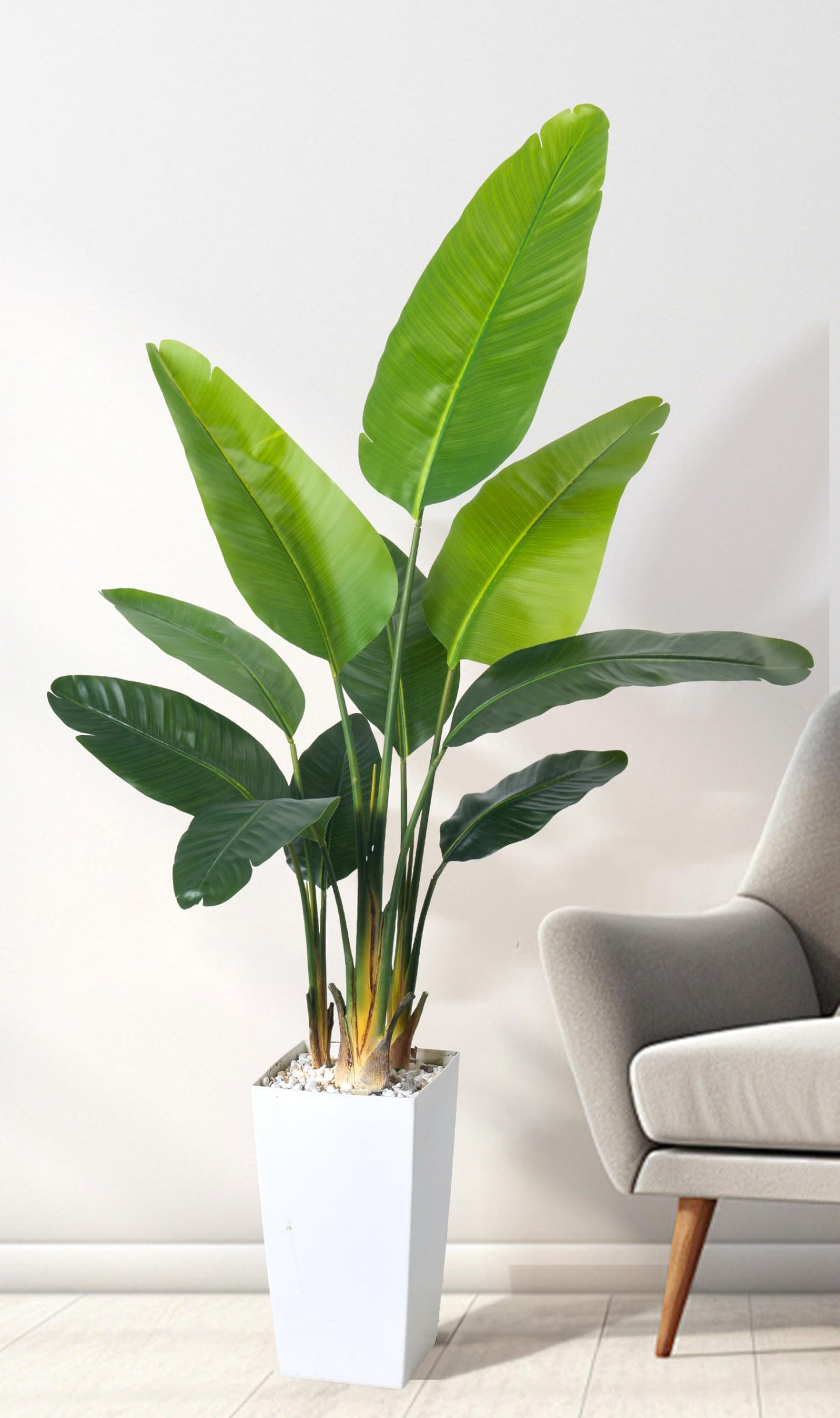 HAIHONG Bird of Paradise Artificial Plant 6FT, Faux Tropical Palm Tree with White Tall Planter, Large Fake Plants in Pot for Home Office Living Room Decor Indoor