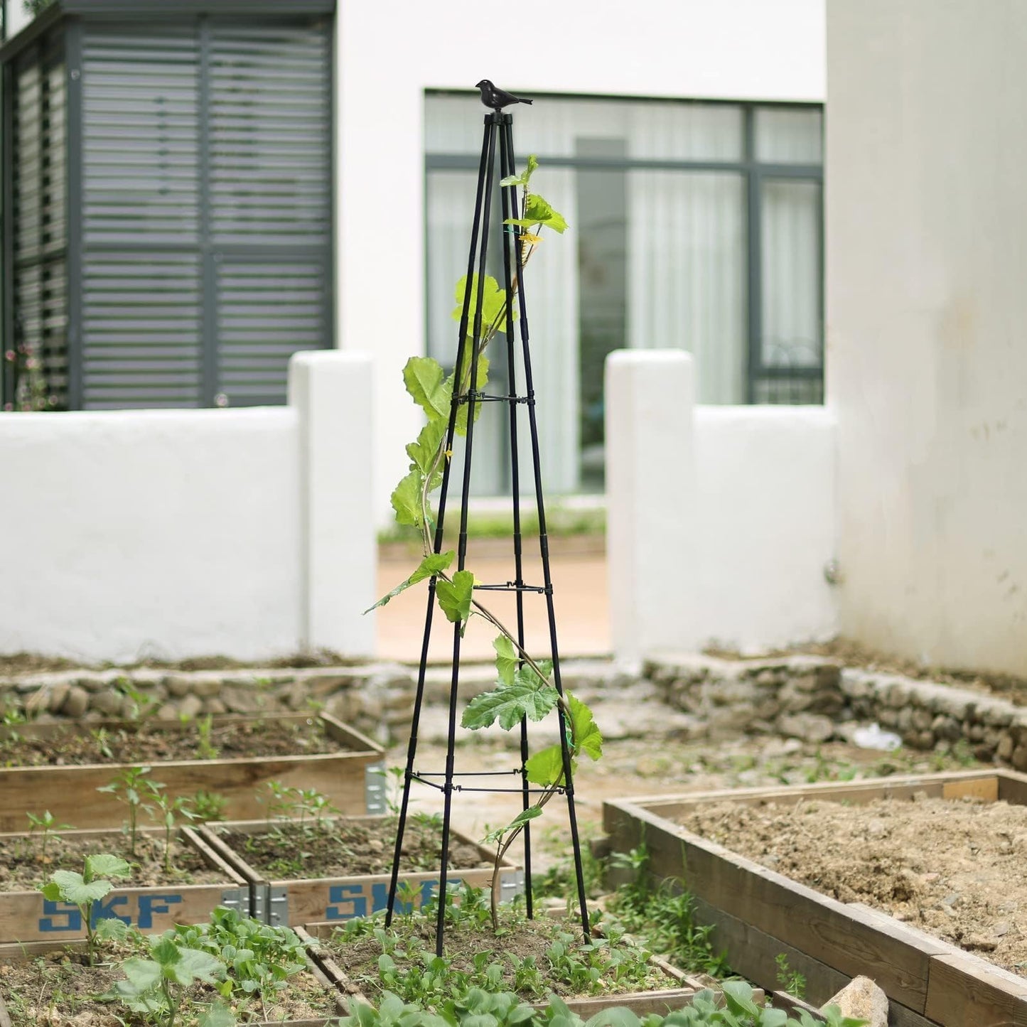 FOLLOOK Cucumber Trellis, 67" Tall Obelisk Garden Trellis for Climbing Plants Outdoor Plastic-Coated Metal Support for Flower Vine Vegetable Tomato Cage Cucumebr Trellis Raised Bed, Black, 2 Pack