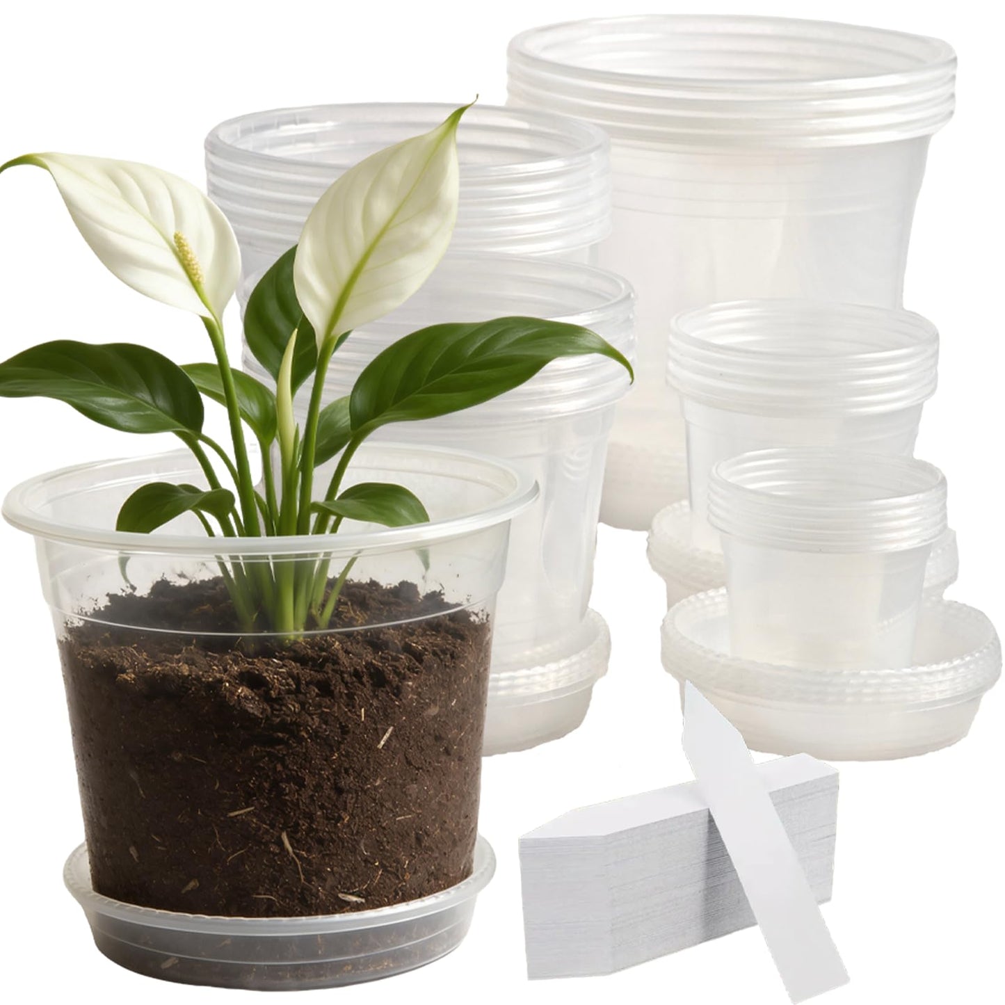 Tuphuv 25 Packs 3/4/5/6/7 Inch Clear Nursery Pots with Drainage Holes & Saucers, Transparent Plastic Plant Pots Variety Pack for Seed Starting, Succulents, Flowers, Herbs, with 25 Plant Labels