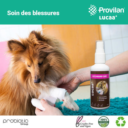 LUCAA+ Pets Wound Care 100 ml | Injury Cleaner for Dogs/Cats with Probiotics | Bio, Vegan & Natural
