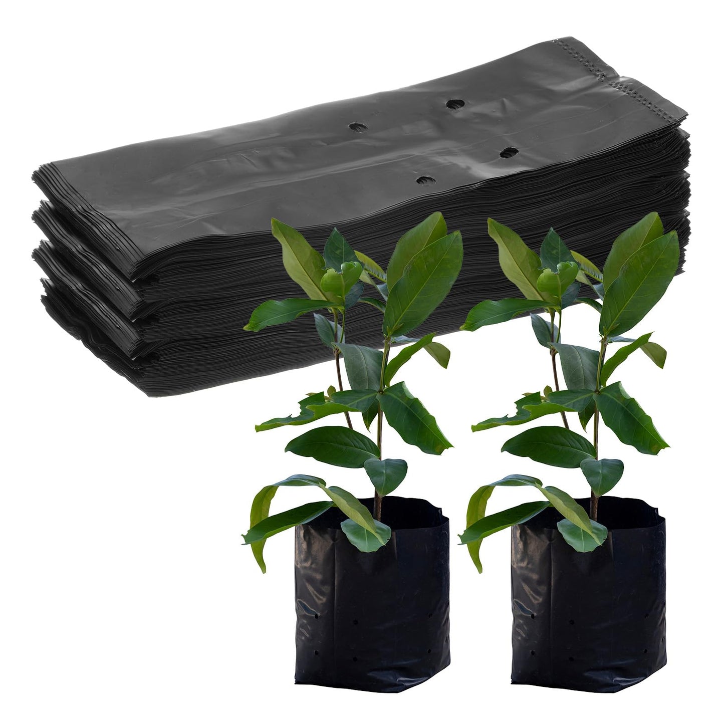 M METERXITY 200-Pack Nursery Growing Bags, 6.7" x 9.8" Thicken Plastic Nursery Bags, Gardening Seed Plant Bags for Potato/Flower/Tomato/Plant Starts/Home Gardening Supplies [Black]