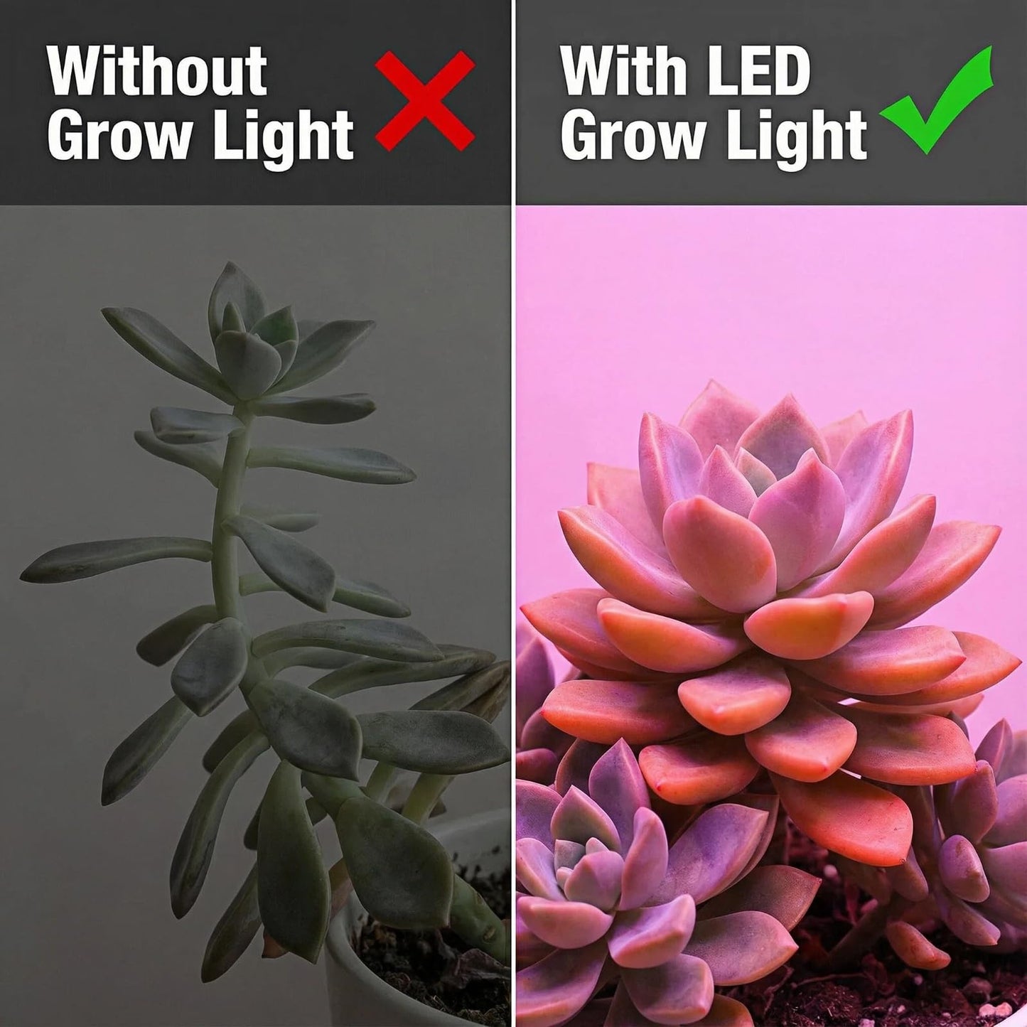 TheOneGrow Desk Grow Light for Indoor Plants with Timer, 28.7" Flexible Gooseneck Plant Light for Desk, 4-Dimming Levels, USB Powered Office Grow Light for Succulents, Herbs