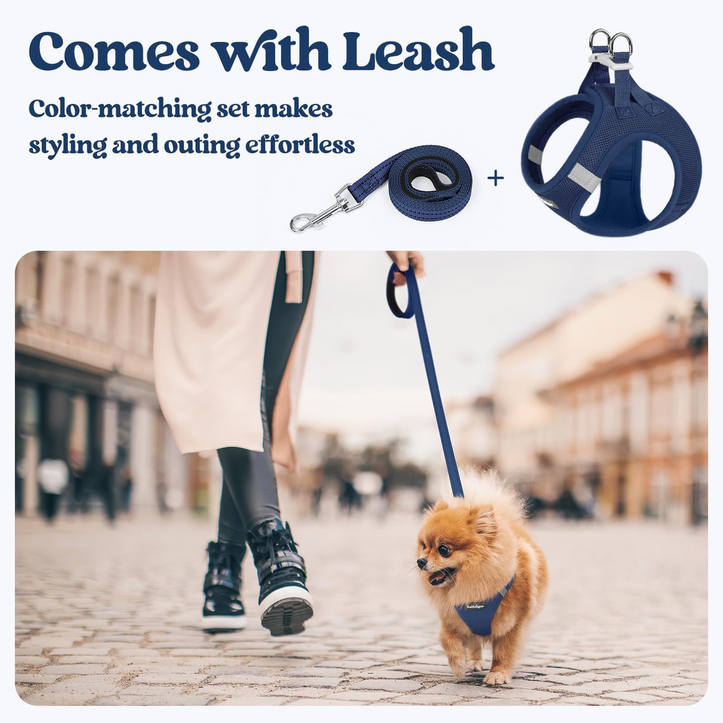 rabbitgoo Dog Harness Small Sized and Leash Set, Step in Soft Light Puppy Vest, Breathable Mesh Pet Harness, Reflective for Safe Outdoor Walking, Navy Blue XS
