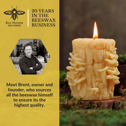 Big Dipper Wax Works Beeswax Oyster Mushroom Candle – Handcrafted 100% Pure Beeswax, Unscented, 60-Hour Clean Burn, Eco-Friendly Sculpted Woodland Décor Gift for Nature Lovers, 4" x 3.25"