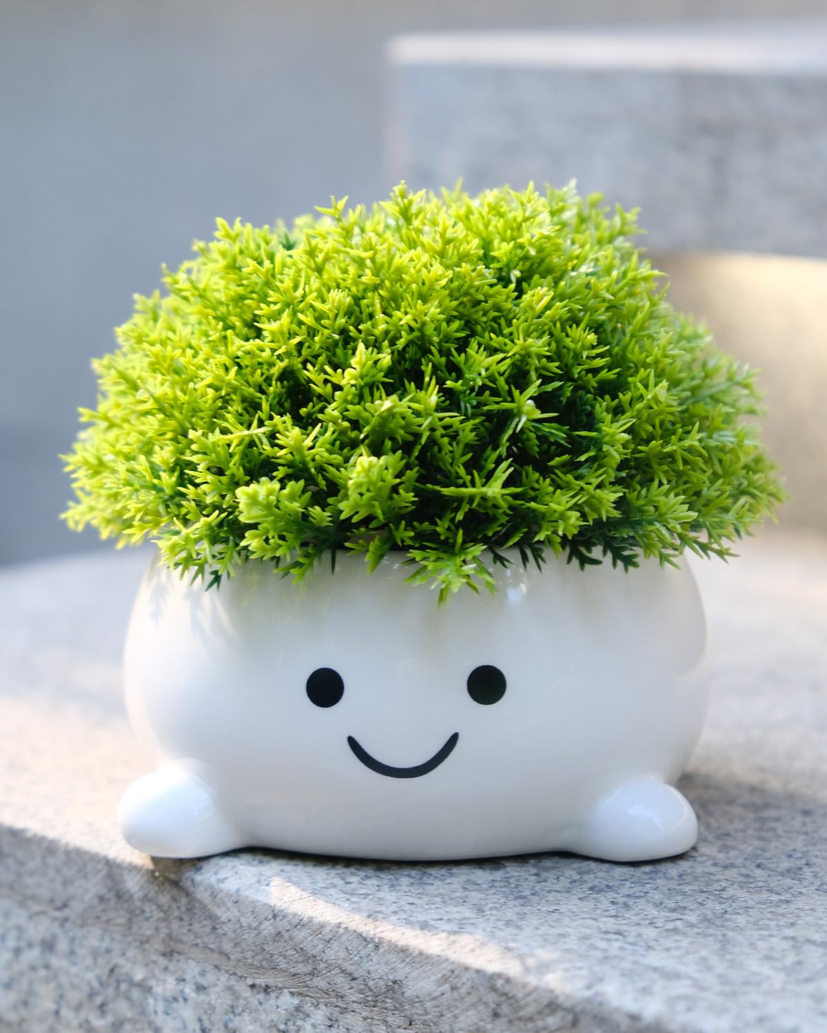 GaloTrek Smily Face Planter Pot Funny Toilet Plant Pots Cute Ceramic Flower Head Planters Succulent Pots for Indoor Outdoor Plants Unique Bathroom Planter with Drainage Hole