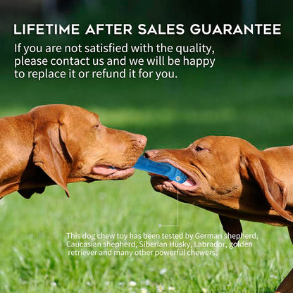 SPOFLY Freezable Puppy Teething Toy, 1 Teething Ring +1 Teething Bone Freezable Dog Chew Toys Set (Blue)