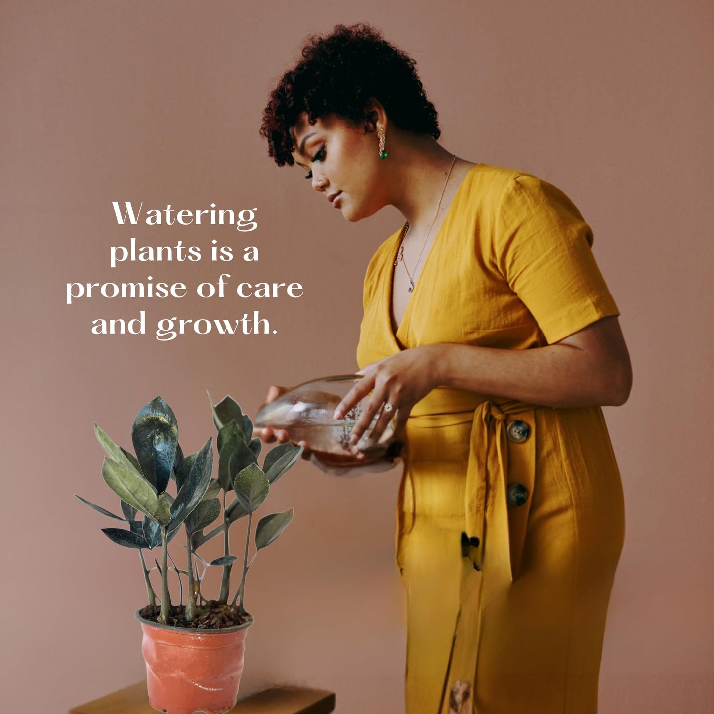Live ZZ Plant Black Queen (Zamioculcas zamiifolia) in 4'' Pot – Rare Low-Light Indoor Houseplant with Deep Purple-Black Foliage, Similar to Raven ZZ – Easy to Grow Home & Office (Heat Pack Included)