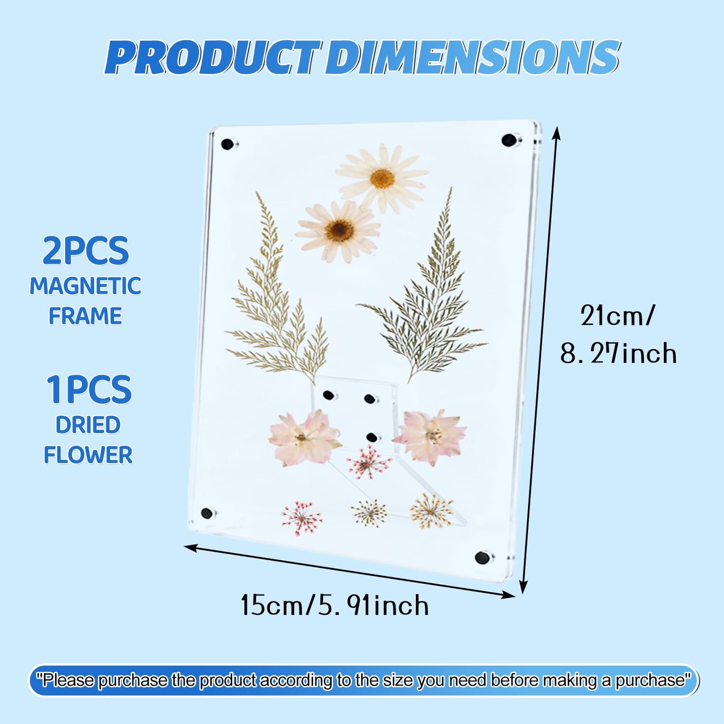 Cnbnd Clear Acrylic Magnetic Pressed Flower Frame, Double Panel Floating Frame for Dried Flower Display, Easy-Open Magnetic Acrylic for DIY Art, Home & Office Wall Décor Gift(Transparent 2Pcs, 8X6in)