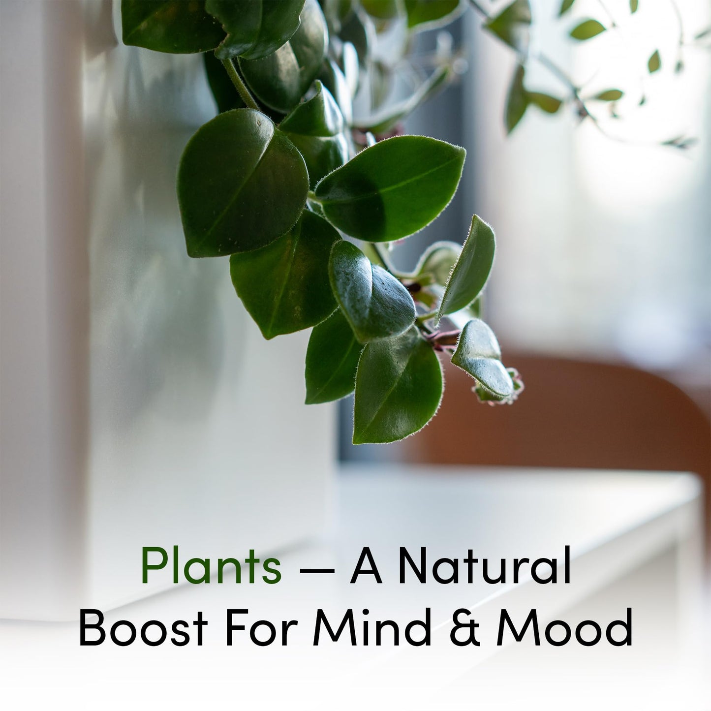 Tevatower Mini Smart Self-Watering Indoor Garden System - 3-Tier 4-Inch Planter Pot for Herbs, Flowers and Indoor Plants, Compact Smart Planter for Home Kitchen Office - Midnight Black