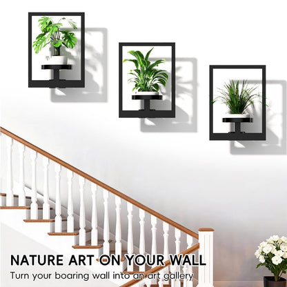 ALACOO Hanging Planters for Indoor Plants - Decorative Plant Frame & Sturdy Metal Wall Decor, Space Saving Wall Plant Holder for Living Room, Bedroom, Balcony, Office (Square-Black, 2Pcs)