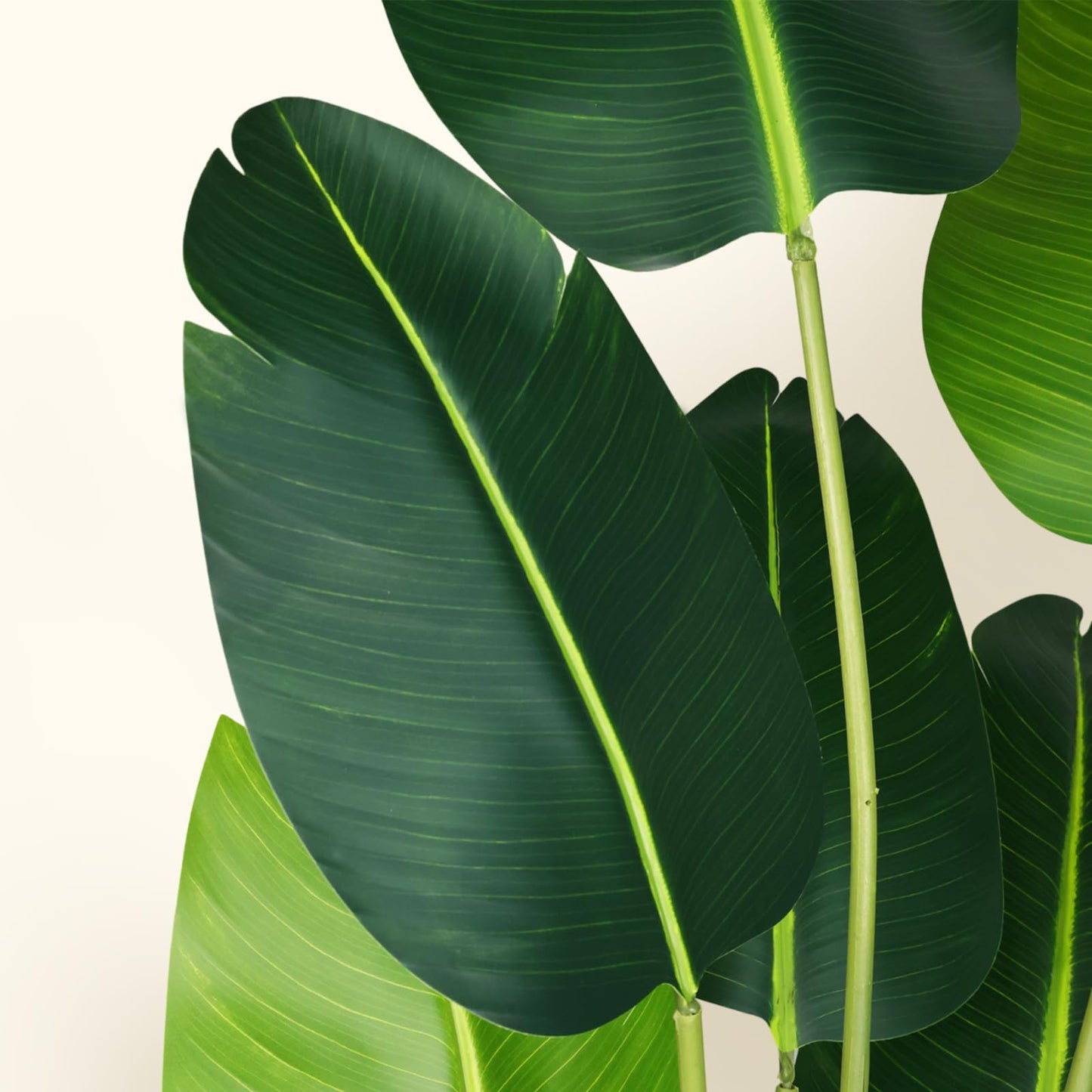 CETRD Artificial Bird of Paradise Plant 6Ft Fake Tropical Palm Tree with 13Trunks Faux Banana Leaf Trees in Pot for Home Indoor Outdoor Office Modern Decor Housewarming Gift