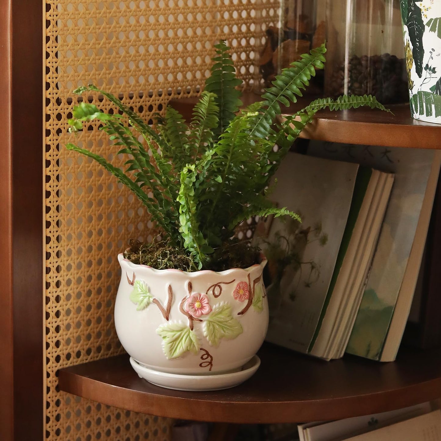 STHIE Ceramic Plant Pots with Drainage Holes and Saucers, Round Flower Pots for Indoor Plant, 4/5.2/6.6 Inches Vintage Flower Planters Set of 3