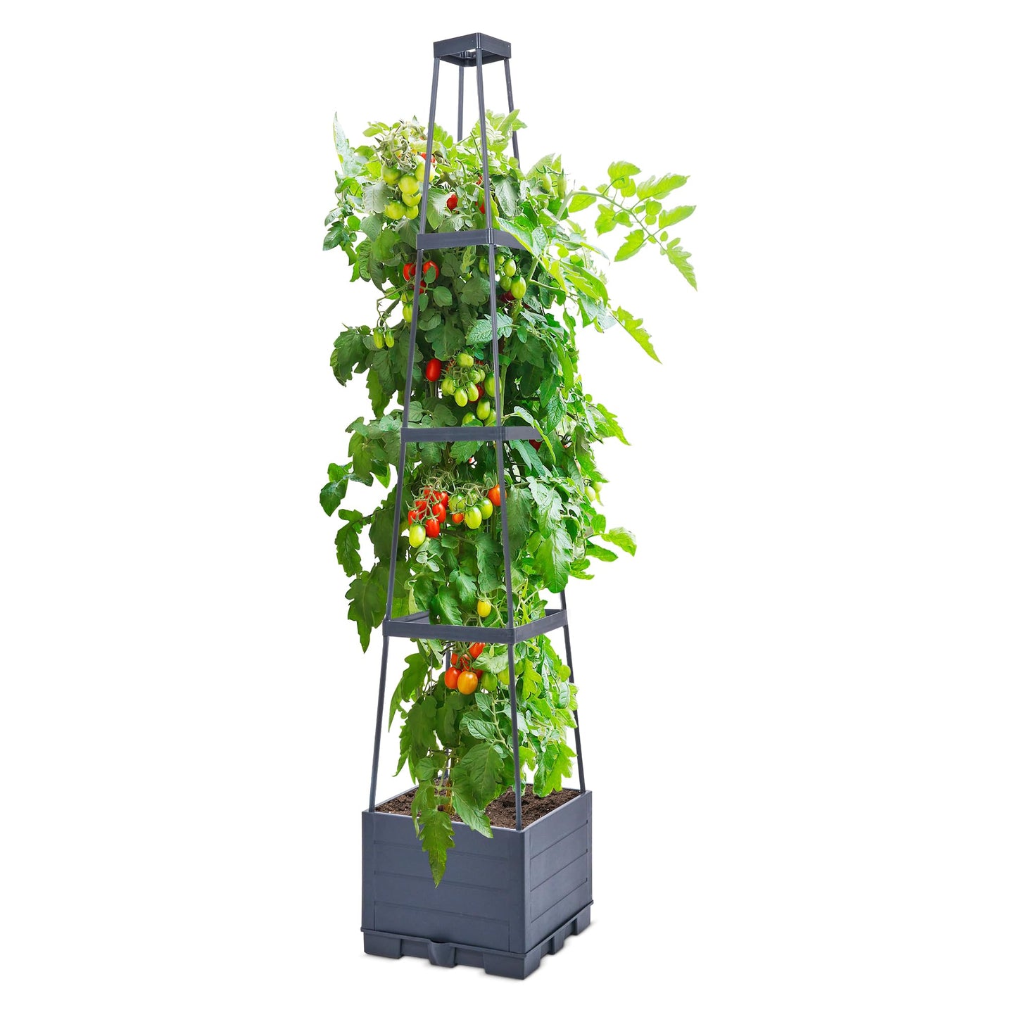 GENMOUS 4 Tiered Tomato Planter with Box Trellis, 56'' Raised Garden Bed Planter Boxes, Tomato Cages for Garden Patio Climbing Plants Vegetable Vine Flowers Outdoor & Indoor（1 Pack)