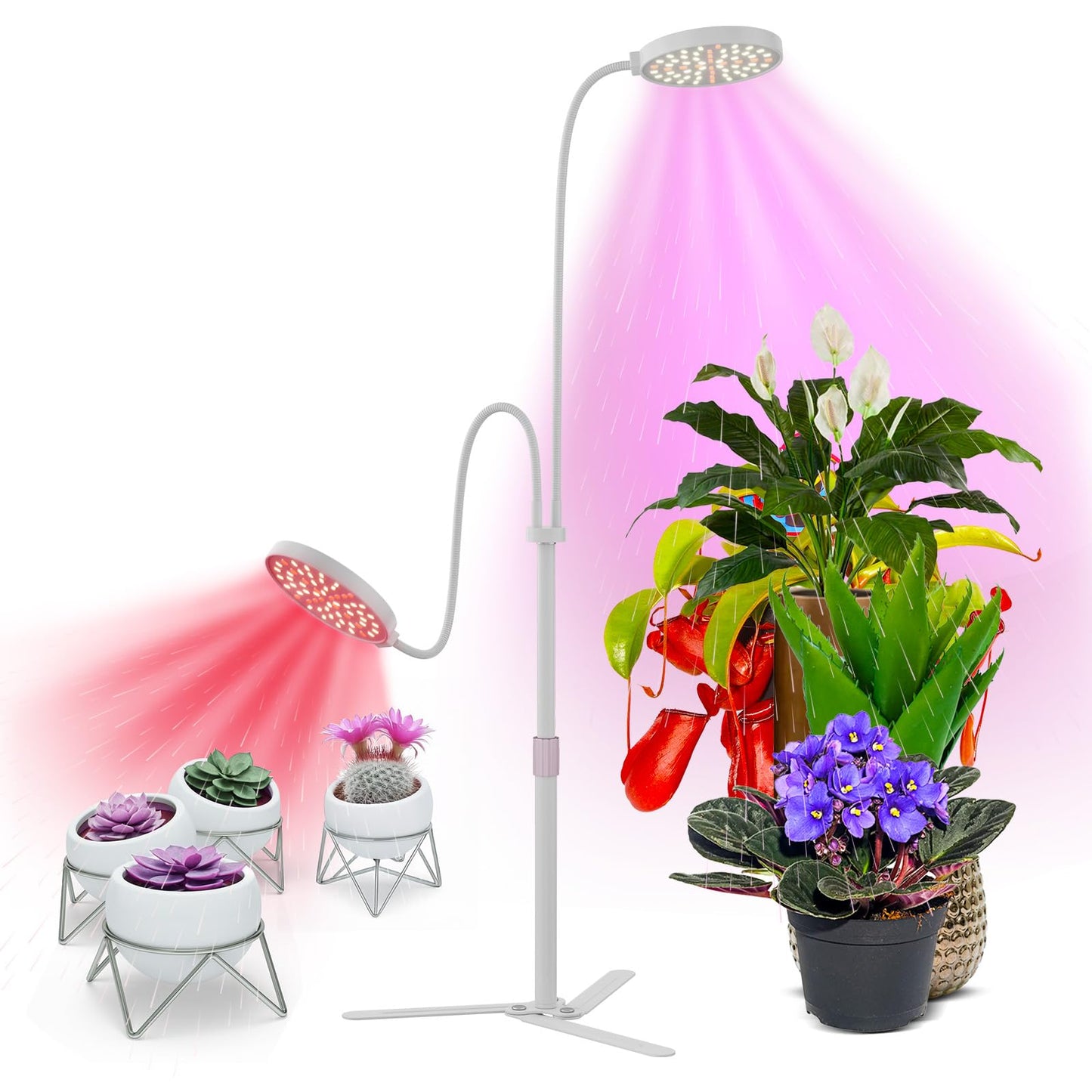 BeModel Super-Energy Tabletop LED Grow Lights 9.8"-32"Height Adjustable for Indoor Small/Medium Plants 6000K Full Spectrum with 3 Dimmable Model, Auto On Off Timing 3 9 12Hrs, 5 Brightness(Puck White)