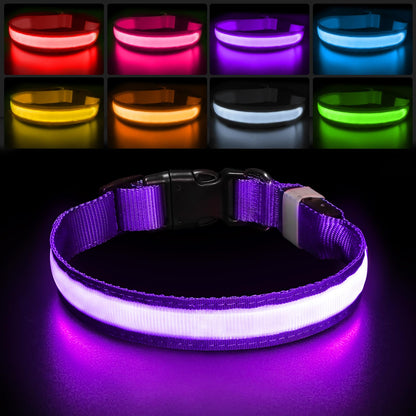 PCEoTllar Light Up Collar - Rechargeable Flashing LED Collar for Small, Medium & Large Dogs - Waterproof, 7 Colors Glowing, Purple (8 Mode)
