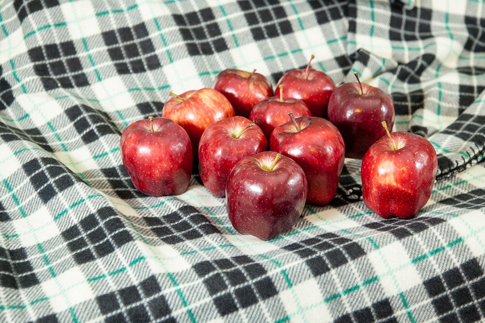 RED Delicious Apple Tree - Size: 3-4 ft, Live Plant, Includes Special Blend Fertilizer & Planting Guide
