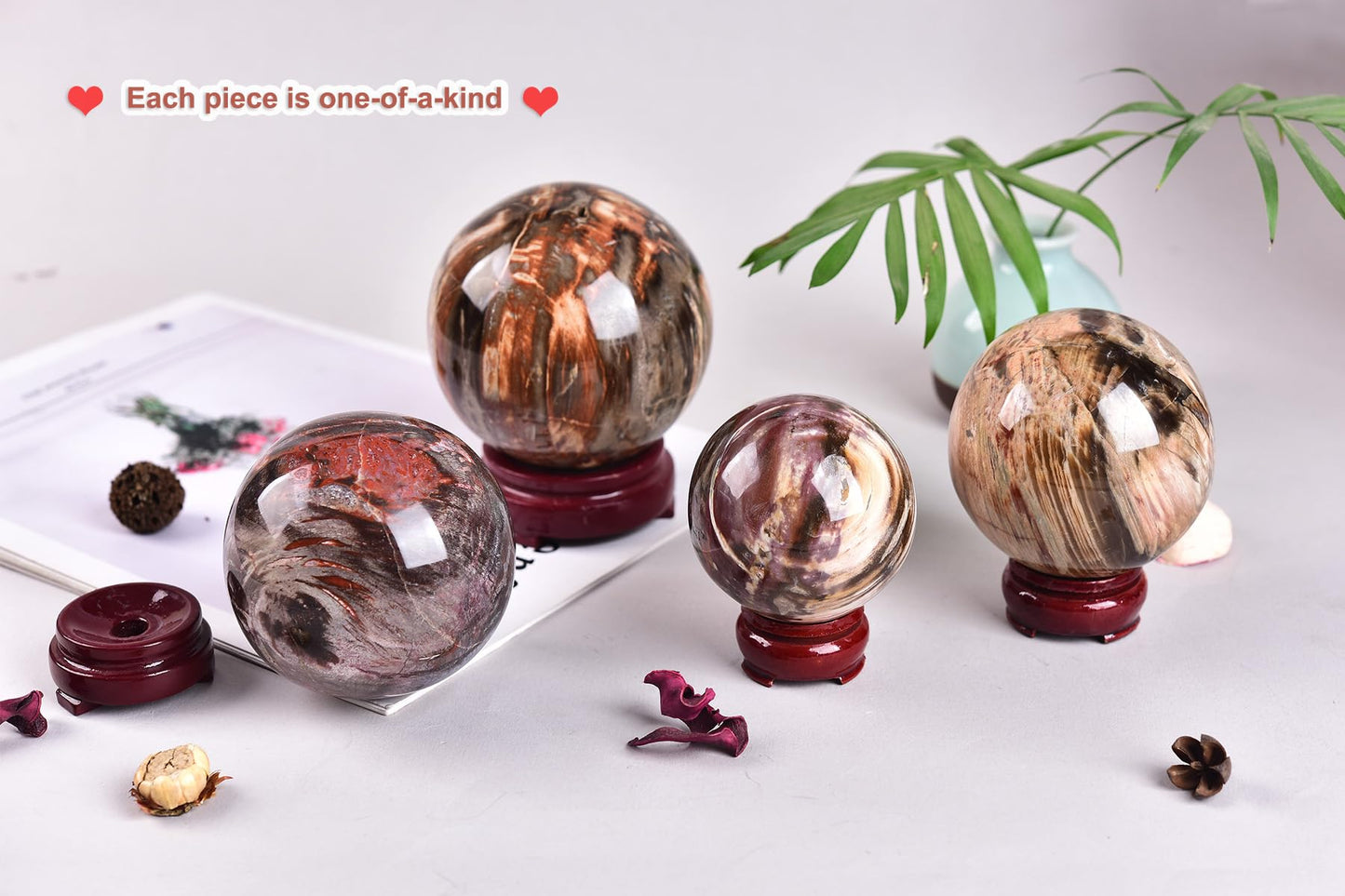 AMOYSTONE Crystal Sphere Heavy Petrified Wood Orb for Living Room Decor